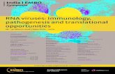 RNA viruses: Immunology, pathogenesis and translational … · 2018. 6. 4. · ORGANIZER SPEAKERS RNA viruses: Immunology, pathogenesis and translational opportunities meetings.embo.org/event/18-rnaviruses