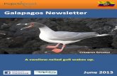 Galapagos Newsletterlocal people, but also because these projects are well-structured, realistic and mind-blowing. My summer as a volunteer for Projects Abroad has been one of the