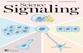 SPECIAL EDITION: Cell Signaling from Microbes to Man ...€¦ · Cell Signaling from Microbes to Man Select research published in Science Signaling Science Signaling is a weekly journal