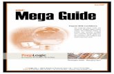 Mega Guide n - John BurtonMega Guide n CISSP®  n 1-800-418-6789 PrepLogic Practice Exams n Video Training n Mega Guides n Printables