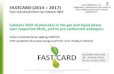 Catalytic HDO of phenolics in the gas and liquid phase ...EU project, FP7-NMP: FAST industrialisation by CAtalysts Research and Development. SINTEF Materials and Chemistry. Coordinator: