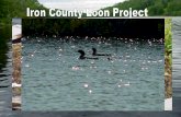 What are our Goals? - UWSP · How does pH & D.O. affect loon reproduction, we found that: •Lakes with high water clarity, basic pH, & higher D.O. = chicks. •Lakes with low pH