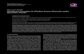 Research Article Distributed Detection in Wireless Sensor ...downloads.hindawi.com/journals/ijdsn/2015/381642.pdf · Research Article Distributed Detection in Wireless Sensor Networks