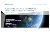 CULTURAL TRAINING FOR MOBILE EMPLOYEES: WHAT ...MERCER WEBCAST 25 Budget Comparison Existing Budget Proposed Budget • $175,000 – 50 assignees @ $3,500/day • $76,000 – 17 LT