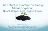 The Effect of Biochar on Heavy Metal Sorptionkearney.ucdavis.edu/Undergrad_Fellowship_Reports/...The Effect of Biochar on Heavy Metal Sorption: Nickel, Copper, Lead, and Cadmium Allie