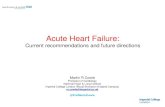 Acute Heart Failure · 2. Respiratory failure ? 1. Cardiogenic shock ? Urgent phase after first medical contact no Patient with suspected AHF yes yes Ventilatory support •oxygen