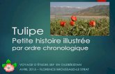 Tulipe - Marakanda Travel LLC · 2019. 2. 16. · Genre Tulipa Christenhusz, M. et al., 2013 - Tiptoe through the tulips : cultural history, molecular phylogenetics and classification