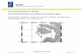 Technical Report 06-06 Oil drift and fate modelling at Disko Bay … · 2018. 8. 17. · page 1 of 74 Technical Report 06-06 Oil drift and fate modelling at Disko Bay Jacob W. Nielsen,