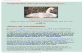 The Maryland Mute Swan Task Force · 2020. 7. 29. · The Maryland Mute Swan Task Force aviculture collections. Introduction of this species continues in many parts of the U.S. Native