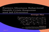 Eastern Montana Behavioral Health Crisis Response and Jail ... · Christopher Lindgren, Deputy Sheriff, Sheridan County Sheriff's Office Lynn Lipzyk, Frances Mahon Deaconess Hospital