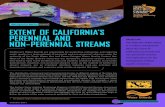 Management Memo Extent EXTENT OF CALIFORNIA’S ......Management Memo: Extent Page 4 Despite the fact that non-perennial steams often comprise the majority of stream length in California’s