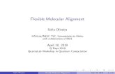 Flexible Molecular Alignmentw3.math.uminho.pt/qdays2019/talks/sofia_quantumdays.pdf · Alignment based on Pharmacophore Features Statement of the Abstracted Problem Fair Comparison
