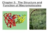Chapter 5: The Structure and Function of Macromolecules...Chapter 5: The Structure and Function of Macromolecules. 5.1 - Overview: The Molecules of Life Within cells, small organic