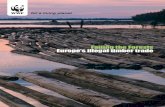 Failing forest - Europe's illegal timber trade · Title: Failing forest - Europe's illegal timber trade Author: WWF Subject: Failing forest - Europe's illegal timber trade Keywords:
