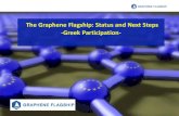 The Graphene Flagship: Status and Next Steps -Greek ...helios-eie.ekt.gr/EIE/bitstream/10442/15575/1... · 2011 Ötz Valley, Austria 2012 Delft, The Netherlands 2013 Chemnitz, Germany
