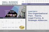The Organizational Plan: Teams, Legal Forms, & Strategic ... · 02/07/2018  · •Legal Entity A business organization that is recognized by the law as having a separate legal existence