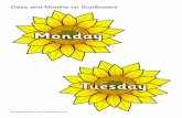Numbers 0-50 on sunflowers · Dacambar Novambar . Title: Numbers 0-50 on sunflowers Author: Samuel Created Date: 4/19/2016 1:06:01 PM