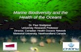 New Marine Biodiversity and the Health of the Oceans · 2020. 1. 17. · Indicators “Healthy” Oceans ... Deep-sea nematodes 100,000+ more to go? Marine Biodiversity - What We
