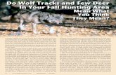 Do Wolf Tracks and Few Deer In Your Fall Hunting Area...avoiding wolf predation rather than of the inadequate predatory abilities of the wolf. White-tailed deer are highly vigilant