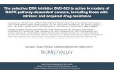 The selective ERK inhibitor BVD-523 is active in models of ......BVD-523 inhibits ERK activity following oral dosing in canine GLP tox study Dose (mg/kg, BID) ERK Inhibition (%) BVD-523