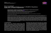Poly-ADP Ribosyl Polymerase 1 (PARP1) Regulates Influenza ...downloads.hindawi.com/journals/av/2019/8512363.pdf · AdvancesinVirology Nontarget NPM NP DAPI merge PARP1 DDX17 IDH2