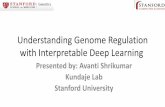 Understanding Genome Regulation with Interpretable Deep Learning · 2019. 3. 29. · Understanding Genome Regulation with Interpretable Deep Learning Presented by: Avanti Shrikumar