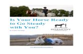 By Lindsey Partridge · Dating your horse might not seem as simple as dating a human – it’s really hard to take your horse to the movies, shopping, or sightseeing together –