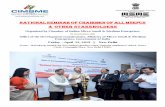 National Seminar of Chairmen of all MSEFCs & other ...msmehelpline.com/indiansmechamber/uploads/events/Website Update Final.pdfMinistry of Micro, Small & Medium Enterprise Dr. Arun