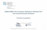 New EURO-NMD: the European Reference Network for rare … · 2018. 7. 19. · Building bridges and breaking barriers in rare neuromuscular diseases Genetics Chair: Alexandra FerliniCo-Chairs: