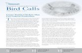 The Newsletter of American Bird Conservancy Bird Calls · FEBRUARY 2013 l Vol. 17, No. 1 Bird CallsThe Newsletter of American Bird Conservancy New Study Finds Outdoor Cats Kill “Staggering”