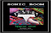 SONIC BOOM - The Haiku Foundation · 2016. 7. 15. · Sonic Boom 8 Poetic Relations (For Lisa Gluskin Stonestree t) By Don Hagelberg Formed or formless, when the poem comes, it shatters