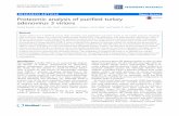 Proteomic analysis of purified turkey adenovirus 3 virions · 2017. 4. 10. · RESEARCH ARTICLE Open Access Proteomic analysis of purified turkey adenovirus 3 virions Pankaj Kumar1,