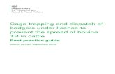 Cage-trapping and dispatch of badgers under licence to ......trapping and dispatch of badgers under licence to prevent the spread of bovine TB in cattle. It provides recommendations