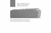 AHNS Otobase Tutorialaudsoftftp.com/WebSite_Links/Audbase_Tutorial.pdf · 2014. 6. 12. · 2 · AudBase AudBase Tutorial Welcome to the AudBase Tutorial. This tutorial is designed