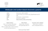 Molecular and carbon-based electronic systems · pre-screening work, basic topic understanding ... background knowledge, backup information, context, impact help - ask for feedback/discuss