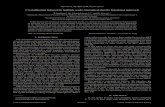 Crystallization induced by multiple seeds: Dynamical ...hlowen/doc/op/op0293.pdf · PHYSICAL REVIEW E 88, 062316 (2013) Crystallization induced by multiple seeds: Dynamical density
