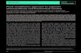 Plantnanobionicsapproachtoaugment ...landrylab.com/wp-content/uploads/2015/09/Plant-nanobionics.pdf · litorea in symbiotic association with the sea slug Elysia chlorotica remarkably