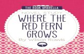 Where the Red Fern Grows · 2020. 5. 6. · Besides hunting coons, what does Little Ann help Mama catch? _____ _____ _____ 1. What do the adult coon hunters say about Little Ann?