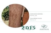 CORTICEIRA AMORIM, S.G.P.S., S.A. Consolidated results ... · HIGHLIGHTS AND KEY INDICATORS 1Q: FLOOR & WALL COVERINGS BU 30,822 31,130 28,534 1Q2013 1Q2014 1Q2015 SALES Sales with