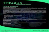 Extract Tribulus Summary · Traditionally tribulus fruit has been used in the folk medicine of India, China, Bulgaria and South Africa for a variety of reproductive conditions such