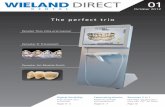 The perfect trio - Wieland Dental · direct Issue 01/2012 Page 5 release The Zenostar materials available for selection are Zenostar Zr Translucent milling blanks in the shades pure,