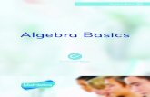 Algebra Basics - Ms. Barrington's Class...Algebra Basics Words and symbols Algebra uses letters or symbols called variables. Each part in an algebraic expression is called a term.