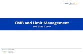 CMB and Limit Management v1.0 - European Central Bank...400 400 600 400 Limit headroom Limit utilisation 1.000 800-200-100 0 100 300 400 500 190 310 190 -190 Limit headroom Limit utilisation