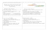 Cells Unit Flashcards - WeeblyCells Unit Flashcards Author: Heather Galaydick Created Date: 10/31/2016 10:55:59 AM ...