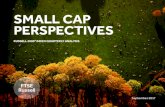 New SMALL CAP PERSPECTIVES - FTSE Russell · 2019. 1. 10. · FTSE Rssell. Small Cap Perspectives: Russell 2000 ® Index Quarterly Analysis. 03. Size • Positive performance trends