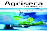 Antibodies - Microsoft...4 Agrisera antibodies orders@agrisera.com Ph 46 935 33000 Fax 46 935 33044 Box 57 911 21 ännäs Sweden Agrisera is a Swedish company specializing in polyclo-nal