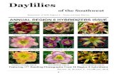 Daylilies - AHS Region 6 · Newsletter of AHS Region 6 - Texas and New Mexico Daylilies of the Southwest ANNUAL REGION 6 HYBRIDIZERS ISSUE Volume 10, Number 3 - Fall/Winter 2010 Payne