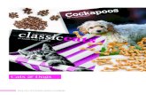 Cats & Dogs - Browntrout Publishers UK Ltd · 22/02/2020  · CATS & DOGS SQ WALL CALENDARS / PAGE 171 Availability of all titles subject to change. All cover images and designs also