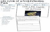 PowerPoint Presentation...2. frog 5. tail ©Lillle Miss Kim)s Class, 2020 6. gills 3. egg 7. legs The Life cycle Of a Frog I can complete sentences and answer questions about the book.