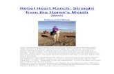 Rebel Heart Ranch: Straight from the Horse’s Mouth · Rebel Heart Ranch: Straight from the Horse’s Mouth (March) Feature of the Month Alissa started riding at the Pikes Peak Therapeutic